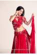 Costume danse orientale Chloé Exclusive 542