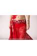Costume danse orientale Chloé Faiza