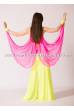 Costume simple danse orientale Raizel