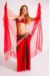 Costume danse orientale Ashaki